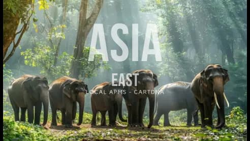 Guía regional CartDNA Asia del Este