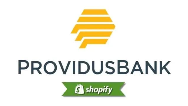 Vps Digital payment method guide for Shopify merchants targeting NG