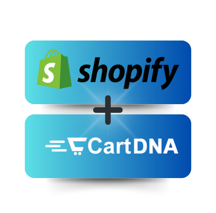 Alternative to Shopify Payments