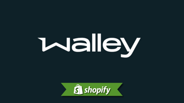 Payment Icon