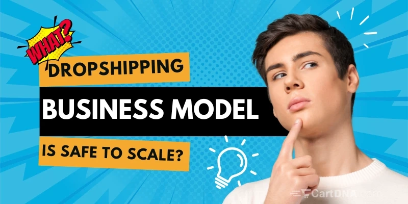 Dropshipping Model Safety Guide